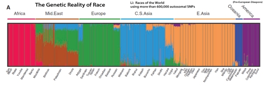 RacesoftheWorld3